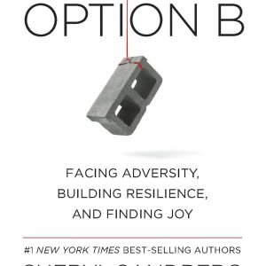Option B: Facing Adversity, Building Resilience, and Finding Joy (Paperback)