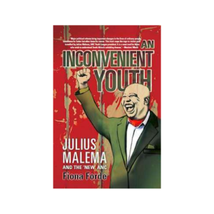 An Inconvenient Youth Paperback