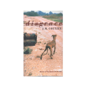 Disgrace Hardcover