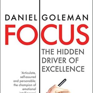 Focus: The Hidden Driver of Excellence (Paperback)