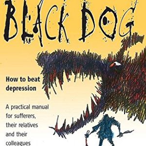 Taming the Black Dog: How to beat depression (Paperback) Pre-owned