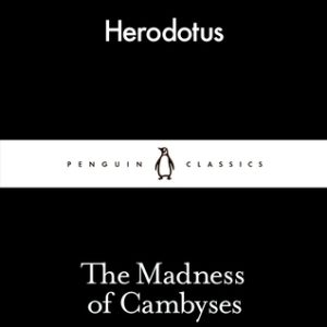 The Madness of Cambyses (Paperback)