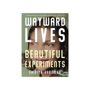 Wayward Lives, Beautiful Experiments (Paperback)