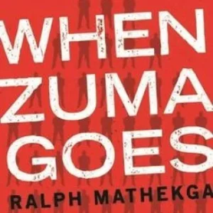 When Zuma Goes (Paperback)