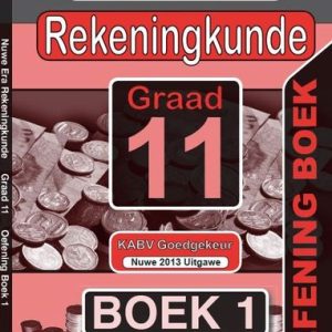 Nuwe Era Rekeningkunde: Gr 11: Pak van 2 oefening boeke